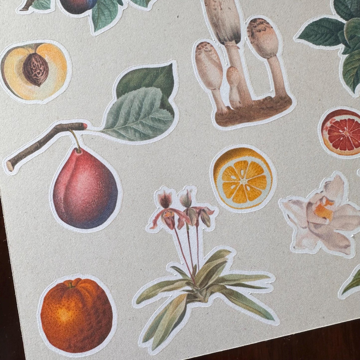 Nature Sticker Sheet – 21 Journal Stickers | Flowers, Fruit & Mushrooms | Matte Kiss Cut
