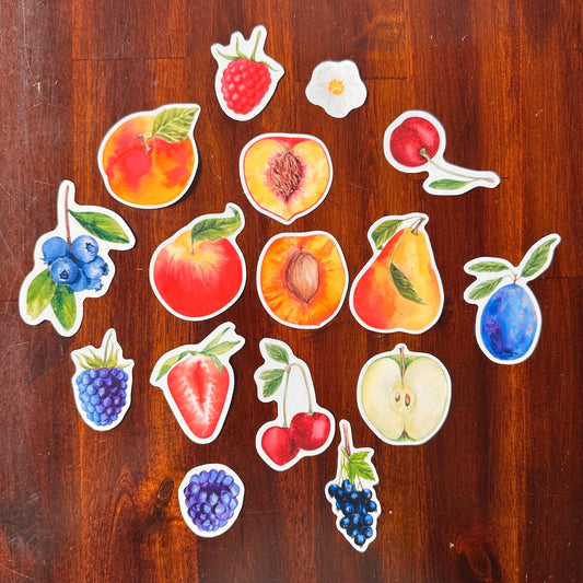 Fruit Die Cut Stickers – 16 Watercolour Vinyl Stickers | Kitchen Garden