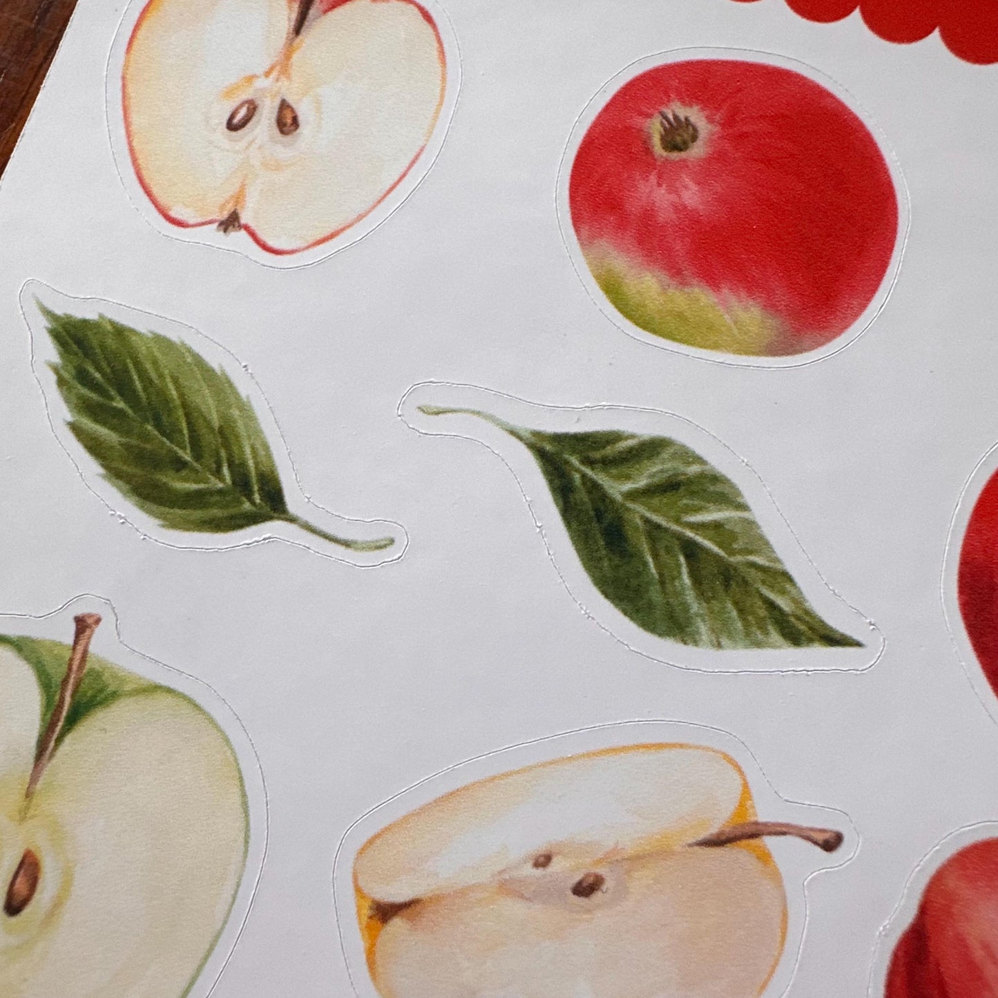 Apple Sticker Sheet – 13 Watercolour Fruit Stickers | Glossy Kiss Cut | Kitchen Garden