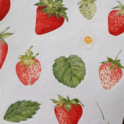 Strawberry Sticker Sheet – 17 Watercolour Fruit Stickers | Glossy Kiss Cut | Kitchen Garden