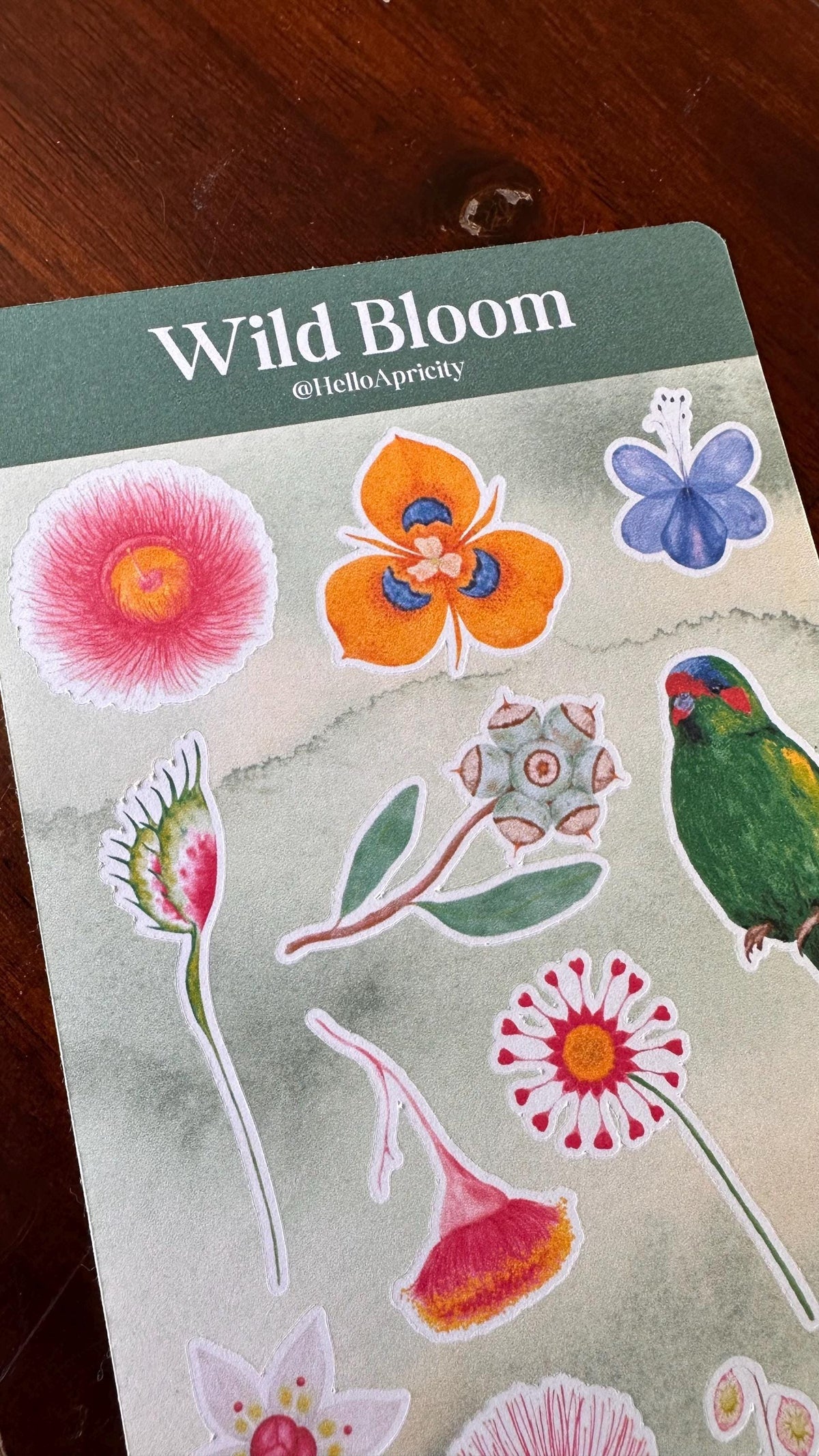 Australian Native Bird & Wildflower Sticker Sheets – Two Sheet Set | Wild Bloom | Matte Kiss Cut