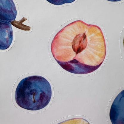 Plum Sticker Sheet – 13 Watercolour Fruit Stickers | Glossy Kiss Cut | Kitchen Garden