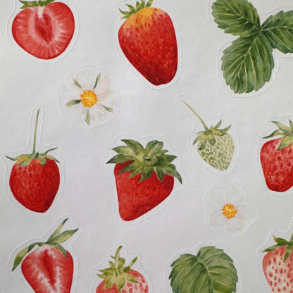 Strawberry Sticker Sheet – 17 Watercolour Fruit Stickers | Glossy Kiss Cut | Kitchen Garden