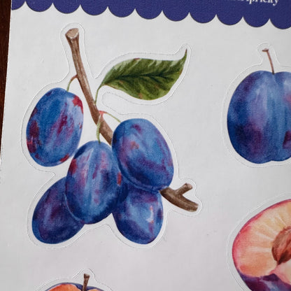 Plum Sticker Sheet – 13 Watercolour Fruit Stickers | Glossy Kiss Cut | Kitchen Garden