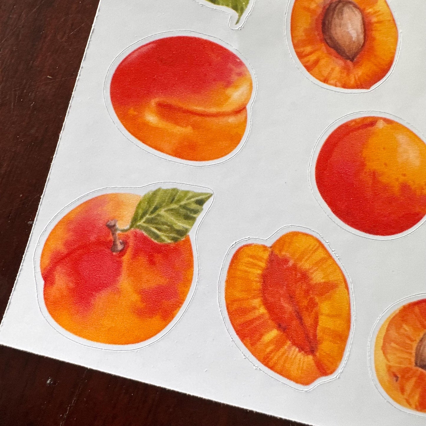 Apricot Sticker Sheet – 16 Watercolour Fruit Stickers | Glossy Kiss Cut | Kitchen Garden