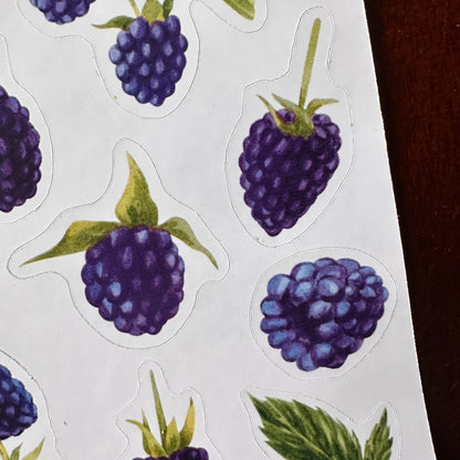 Blackberry Sticker Sheet – 13 Watercolour Fruit Stickers | Glossy Kiss Cut | Kitchen Garden