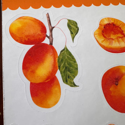 Apricot Sticker Sheet – 16 Watercolour Fruit Stickers | Glossy Kiss Cut | Kitchen Garden