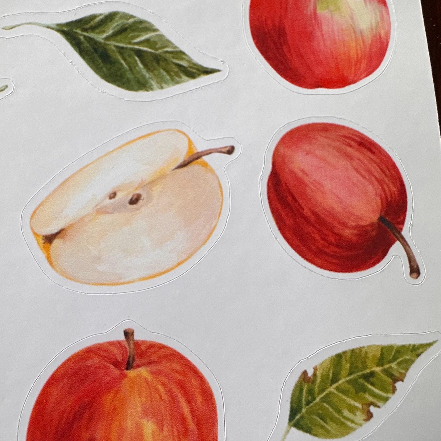 Apple Sticker Sheet – 13 Watercolour Fruit Stickers | Glossy Kiss Cut | Kitchen Garden