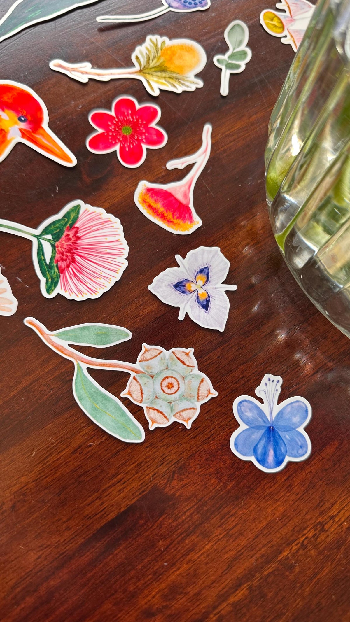Australian Native Bird and Flower Die Cut Stickers – 15 Loose Vinyl Stickers | Wild Bloom