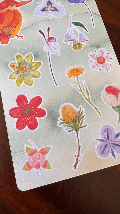 Australian Native Bird & Wildflower Sticker Sheets – Two Sheet Set | Wild Bloom | Matte Kiss Cut