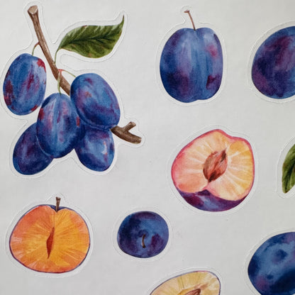 Plum Sticker Sheet – 13 Watercolour Fruit Stickers | Glossy Kiss Cut | Kitchen Garden
