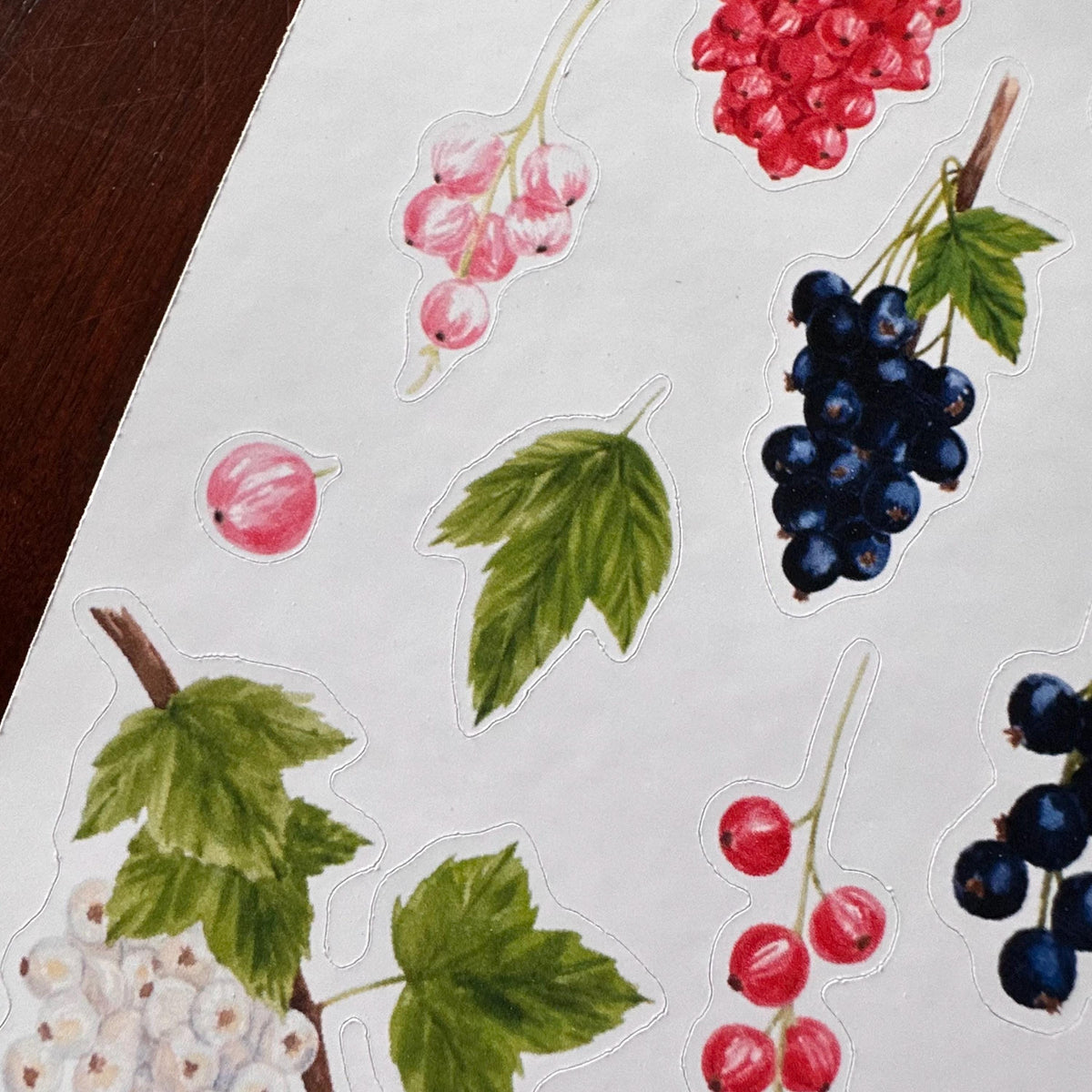 Currant Sticker Sheet – 20 Watercolour Fruit Stickers | Glossy Kiss Cut | Kitchen Garden