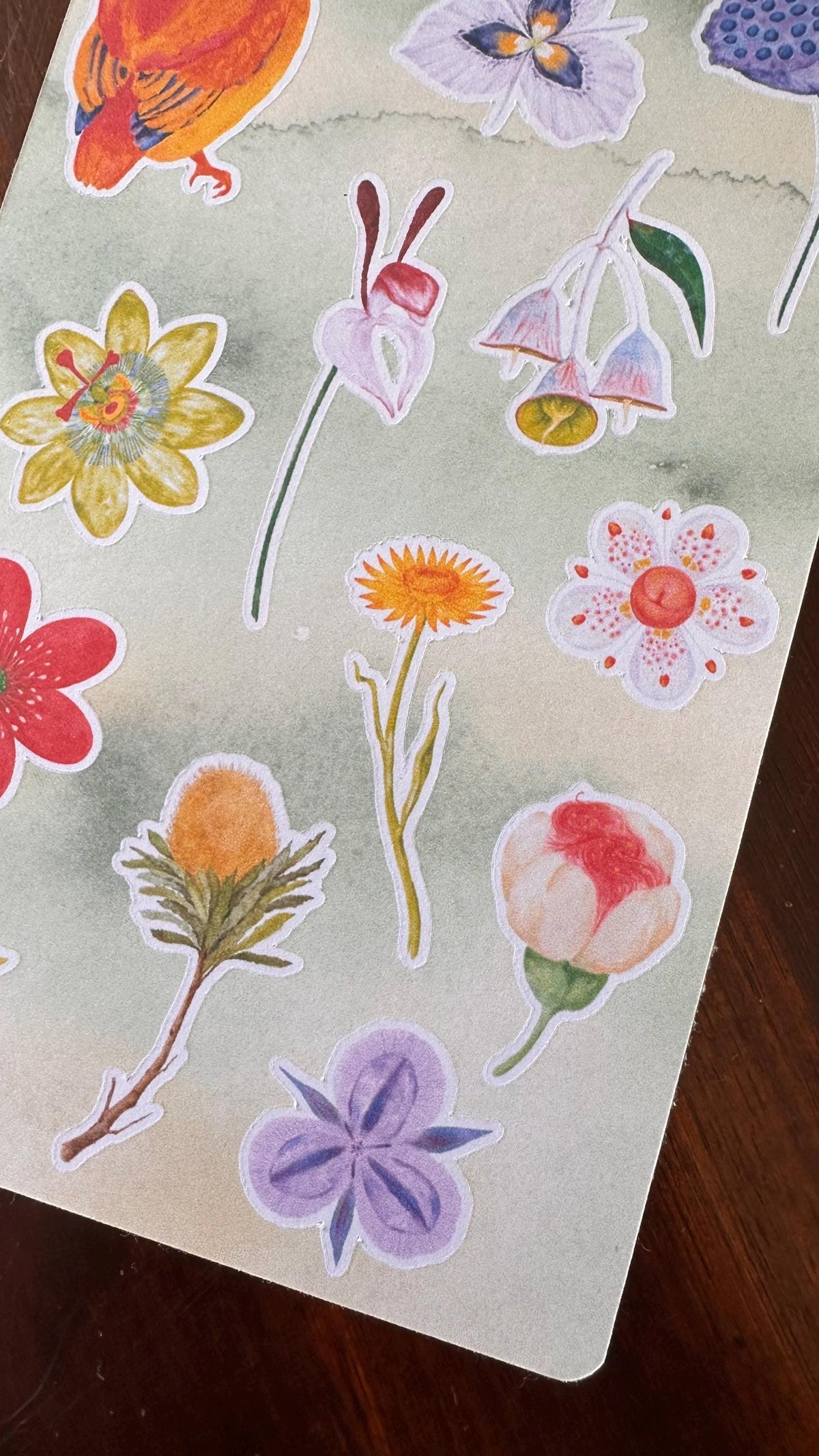 Australian Native Bird & Wildflower Sticker Sheets – Two Sheet Set | Wild Bloom | Matte Kiss Cut