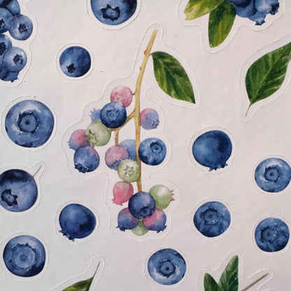 Blueberry Sticker Sheet – 27 Watercolour Fruit Stickers | Glossy Kiss Cut | Kitchen Garden