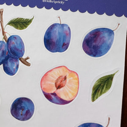 Plum Sticker Sheet – 13 Watercolour Fruit Stickers | Glossy Kiss Cut | Kitchen Garden