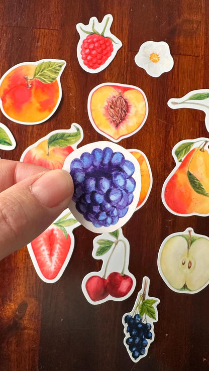 Fruit Die Cut Stickers – 16 Watercolour Vinyl Stickers | Kitchen Garden