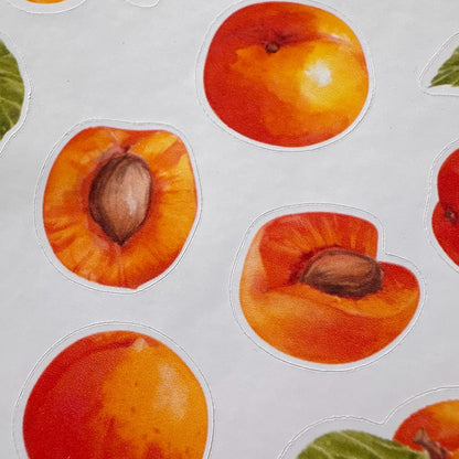 Apricot Sticker Sheet – 16 Watercolour Fruit Stickers | Glossy Kiss Cut | Kitchen Garden