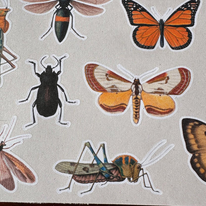 Insect Sticker Sheet – 17 Vintage Bug Stickers | Butterfly, Beetle & Moth | Matte Kiss Cut