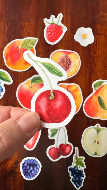 Fruit Die Cut Stickers – 16 Watercolour Vinyl Stickers | Kitchen Garden