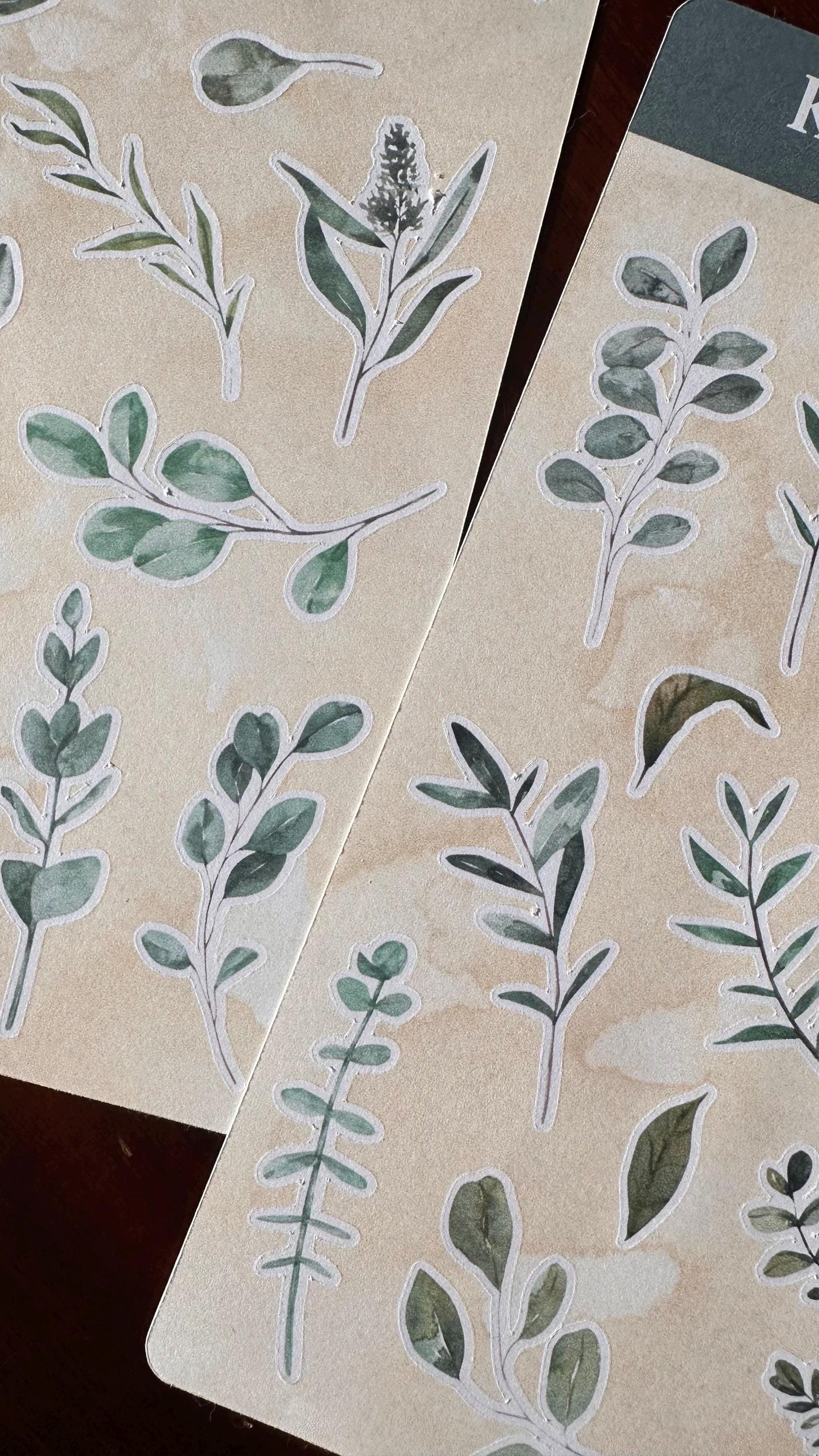 Eucalyptus Sticker Sheets – 26 Australian Native Stickers | Two Sheet Set | Koala Country