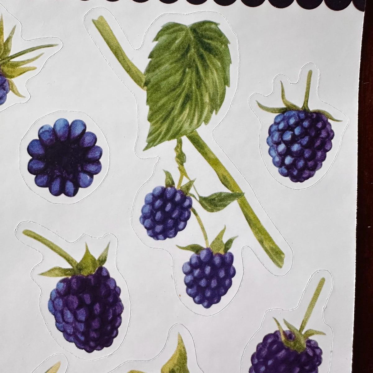Blackberry Sticker Sheet – 13 Watercolour Fruit Stickers | Glossy Kiss Cut | Kitchen Garden