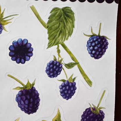 Blackberry Sticker Sheet – 13 Watercolour Fruit Stickers | Glossy Kiss Cut | Kitchen Garden