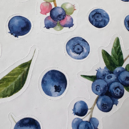 Blueberry Sticker Sheet – 27 Watercolour Fruit Stickers | Glossy Kiss Cut | Kitchen Garden