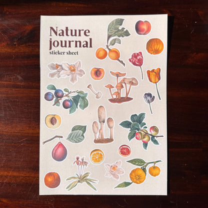Nature Sticker Sheet – 21 Journal Stickers | Flowers, Fruit & Mushrooms | Matte Kiss Cut