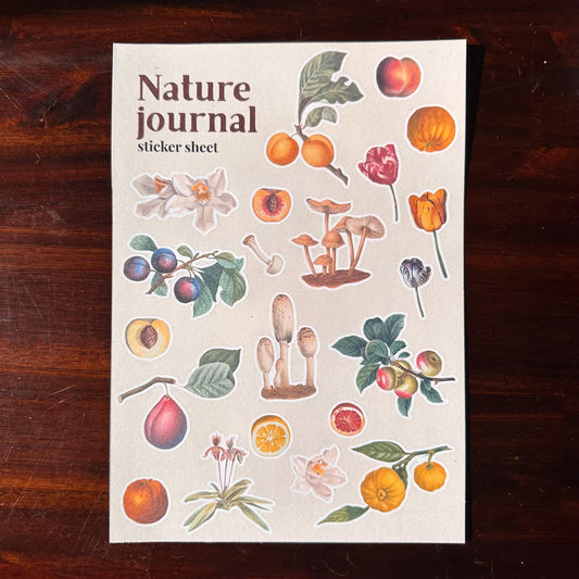 Nature Sticker Sheet – 21 Journal Stickers | Flowers, Fruit & Mushrooms | Matte Kiss Cut