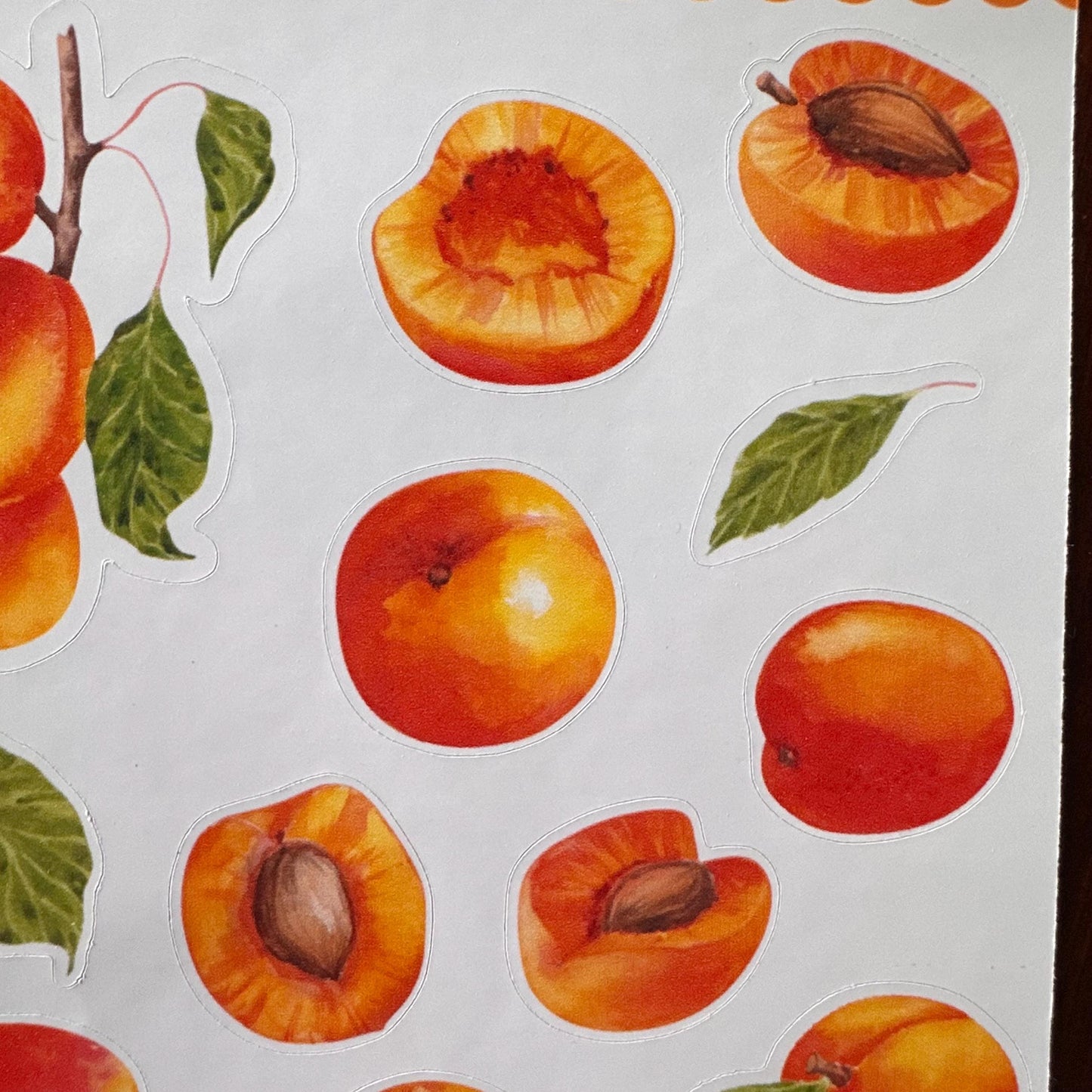 Apricot Sticker Sheet – 16 Watercolour Fruit Stickers | Glossy Kiss Cut | Kitchen Garden