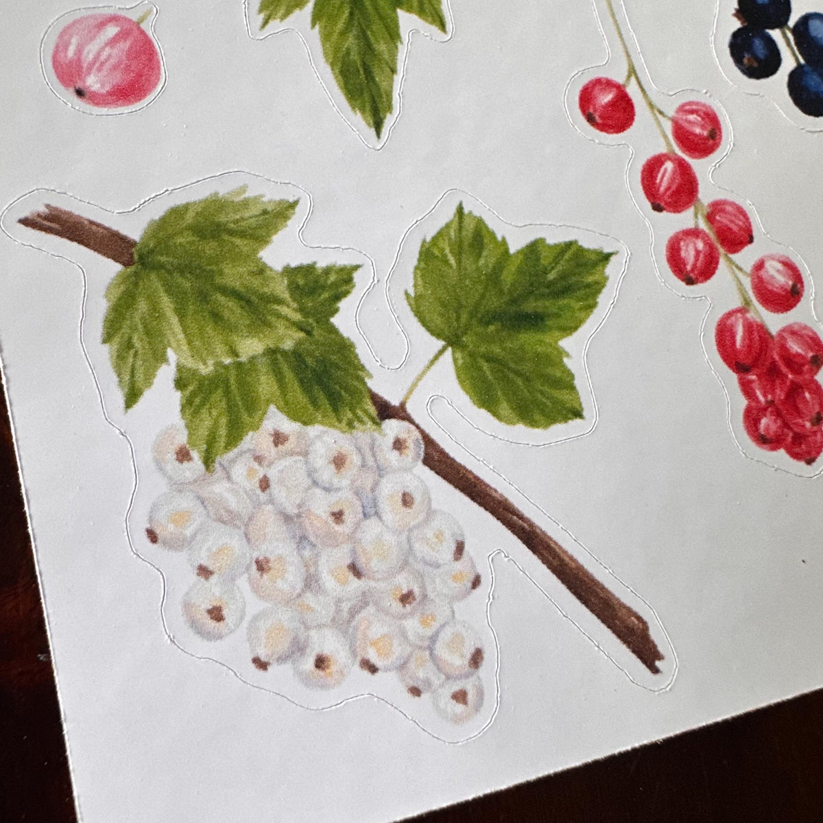 Currant Sticker Sheet – 20 Watercolour Fruit Stickers | Glossy Kiss Cut | Kitchen Garden