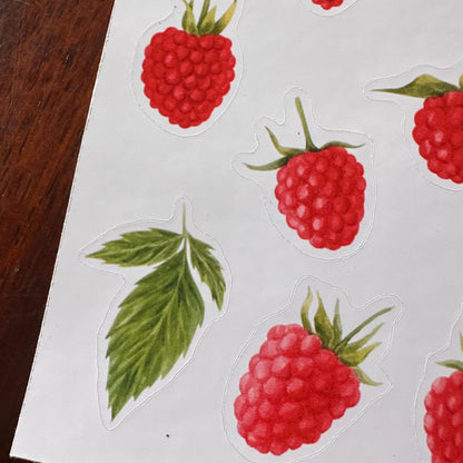 Raspberry Sticker Sheet – 13 Stickers | Glossy Kiss Cut | Kitchen Garden