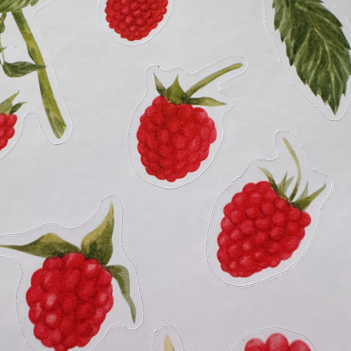 Raspberry Sticker Sheet – 13 Stickers | Glossy Kiss Cut | Kitchen Garden