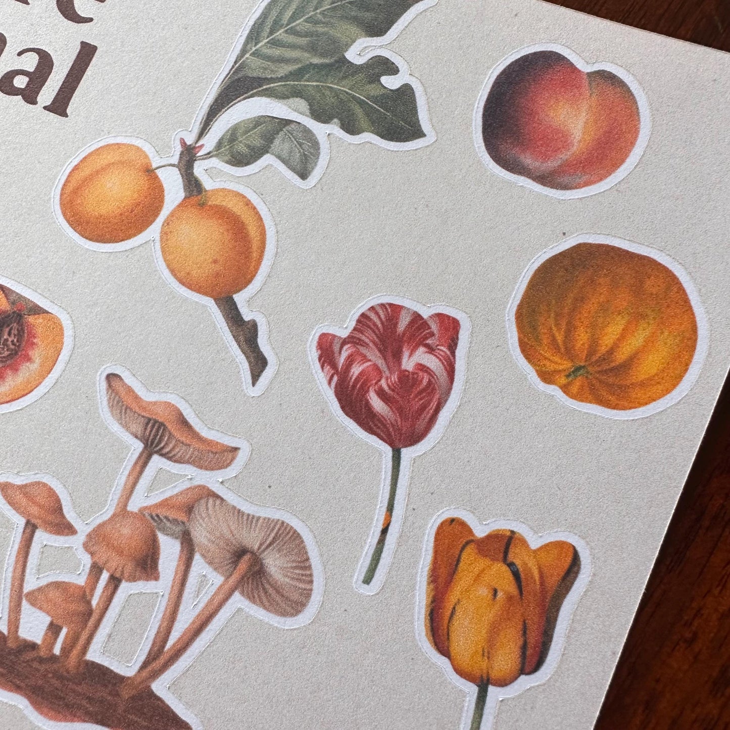 Nature Sticker Sheet – 21 Journal Stickers | Flowers, Fruit & Mushrooms | Matte Kiss Cut