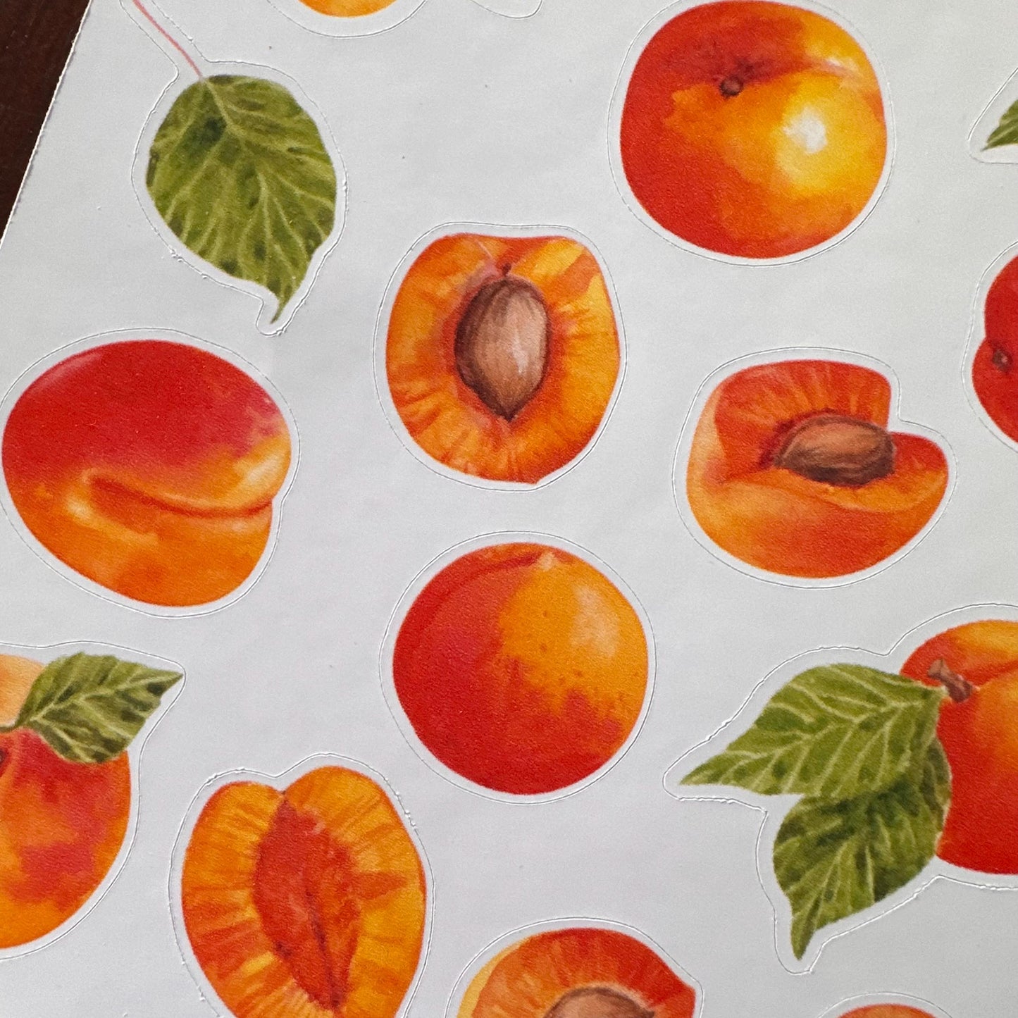 Apricot Sticker Sheet – 16 Watercolour Fruit Stickers | Glossy Kiss Cut | Kitchen Garden