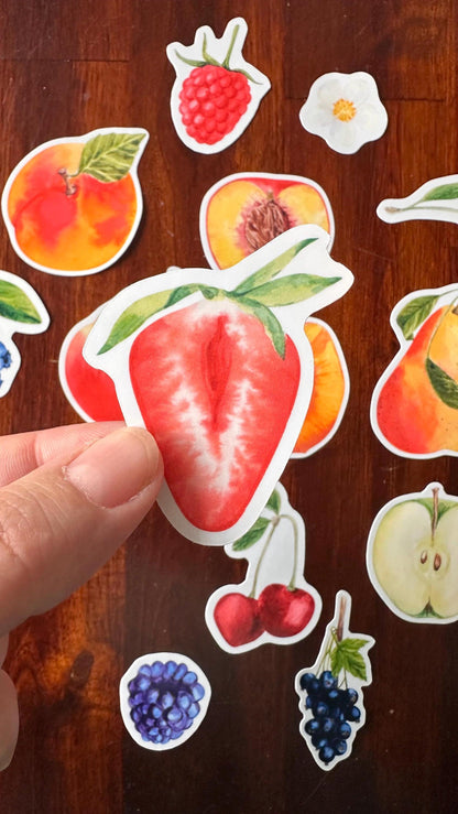 Fruit Die Cut Stickers – 16 Watercolour Vinyl Stickers | Kitchen Garden
