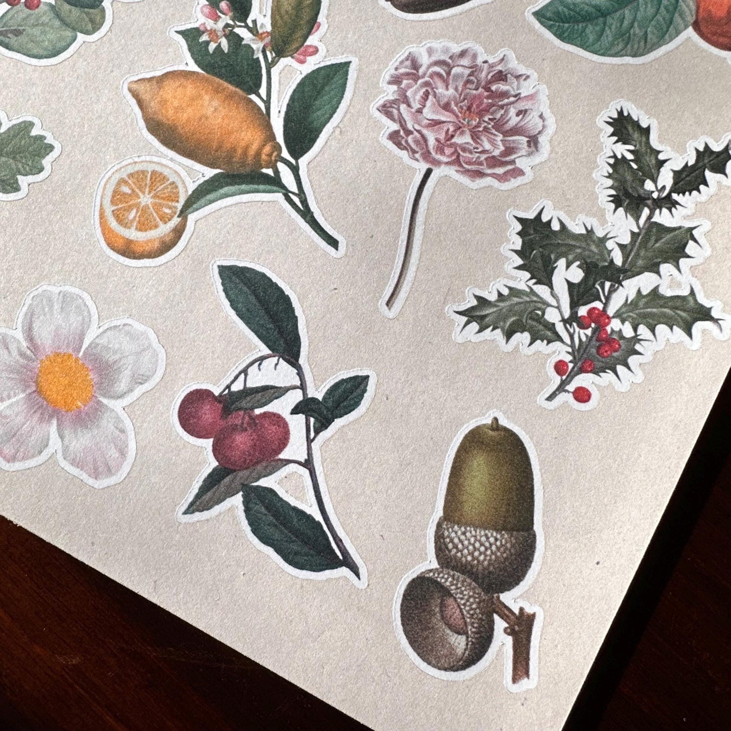 Vintage Botanical Sticker Sheet – 15 Earthy Plant Stickers | Leaf & Foliage | Matte Kiss Cut