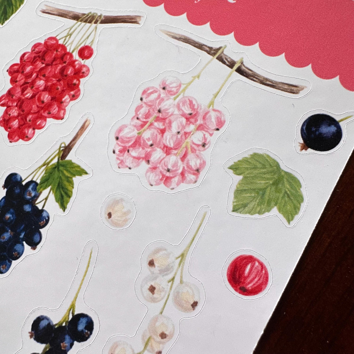 Currant Sticker Sheet – 20 Watercolour Fruit Stickers | Glossy Kiss Cut | Kitchen Garden