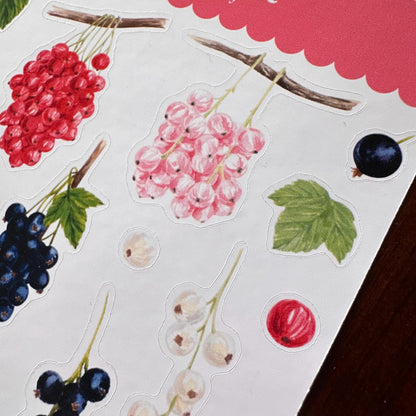 Currant Sticker Sheet – 20 Watercolour Fruit Stickers | Glossy Kiss Cut | Kitchen Garden