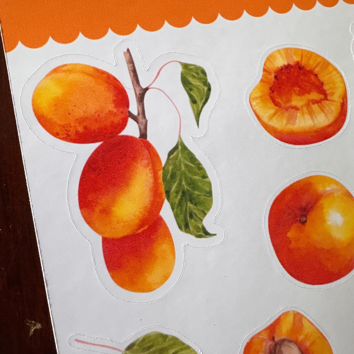 Apricot Sticker Sheet – 16 Watercolour Fruit Stickers | Glossy Kiss Cut | Kitchen Garden