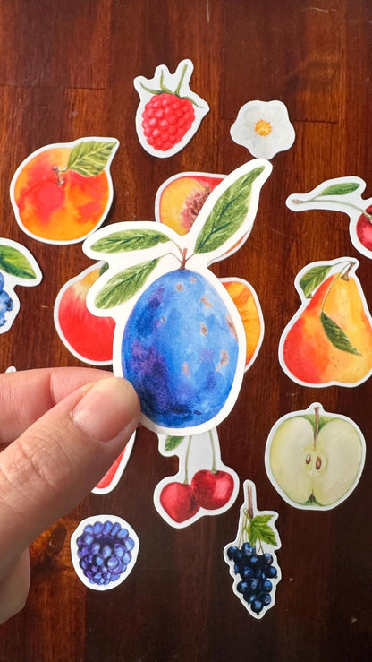 Fruit Die Cut Stickers – 16 Watercolour Vinyl Stickers | Kitchen Garden