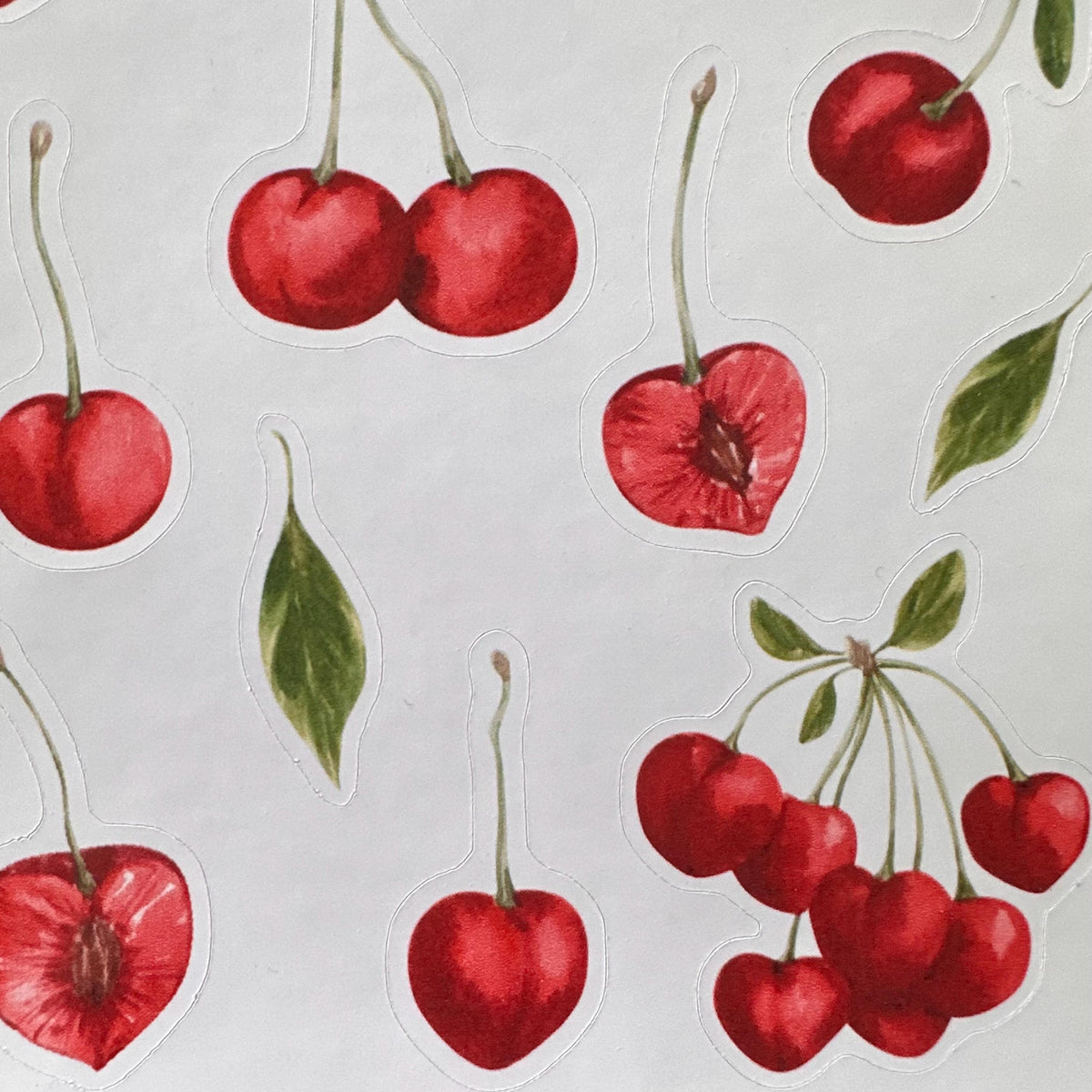 Cherry Sticker Sheet – 13 Watercolour Fruit Stickers | Glossy Kiss Cut | Kitchen Garden