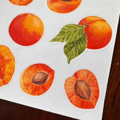Apricot Sticker Sheet – 16 Watercolour Fruit Stickers | Glossy Kiss Cut | Kitchen Garden