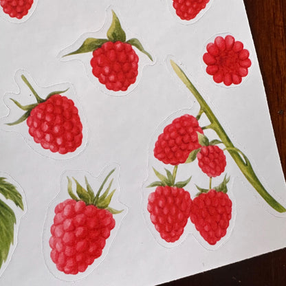 Raspberry Sticker Sheet – 13 Stickers | Glossy Kiss Cut | Kitchen Garden