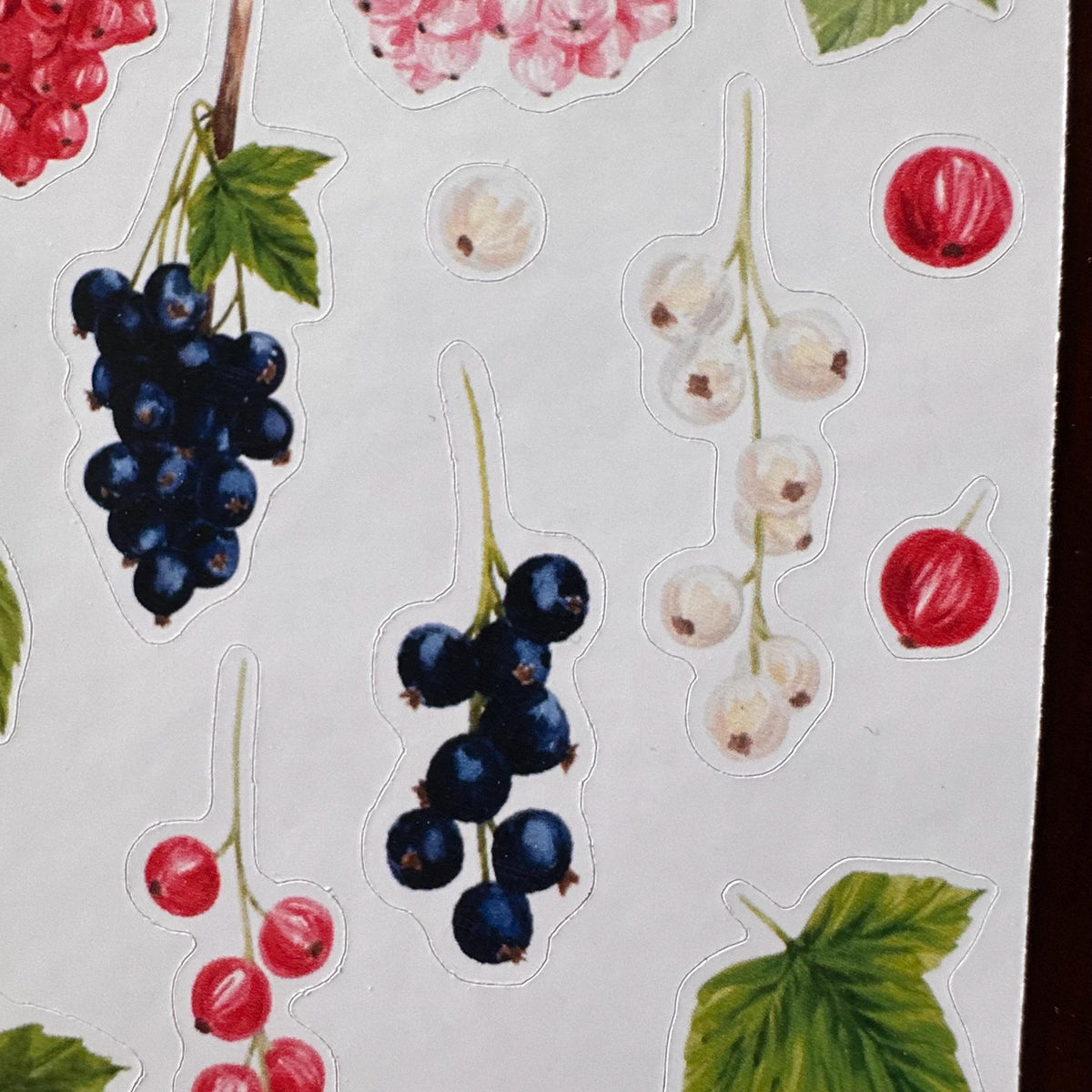 Currant Sticker Sheet – 20 Watercolour Fruit Stickers | Glossy Kiss Cut | Kitchen Garden