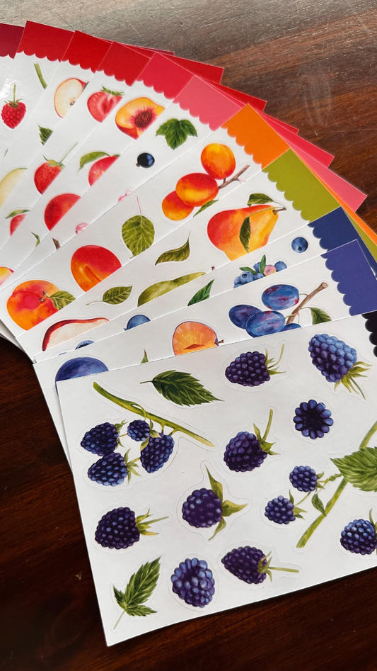 Sticker Bundle – Complete Set of 11 Fruit Sticker Sheets | Glossy Kiss Cut | Kitchen Garden