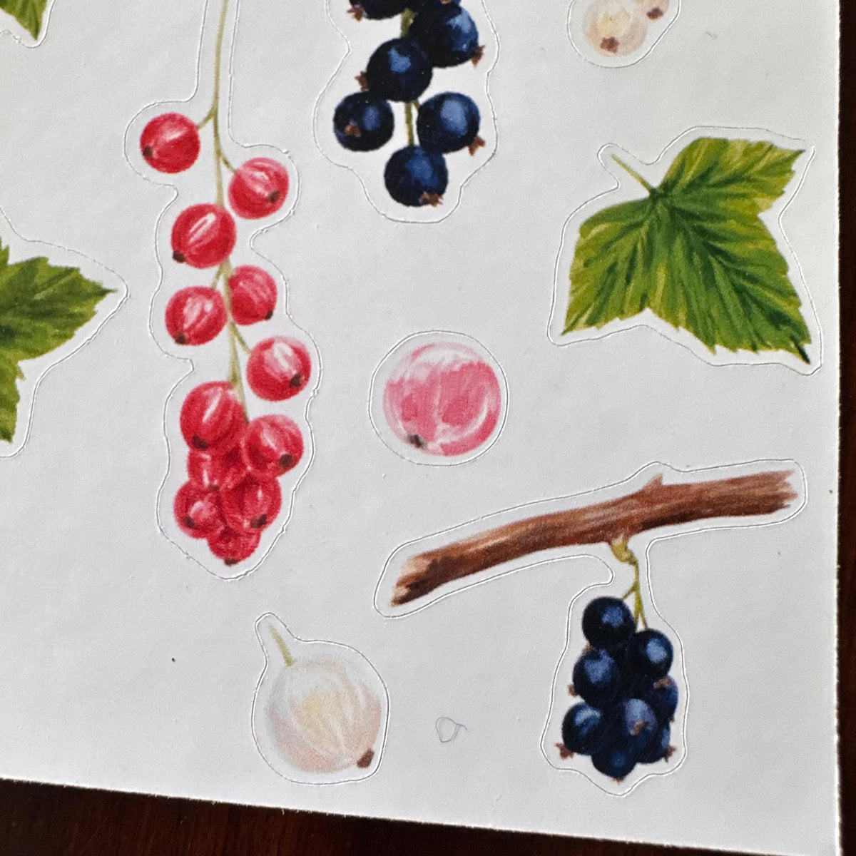 Currant Sticker Sheet – 20 Watercolour Fruit Stickers | Glossy Kiss Cut | Kitchen Garden