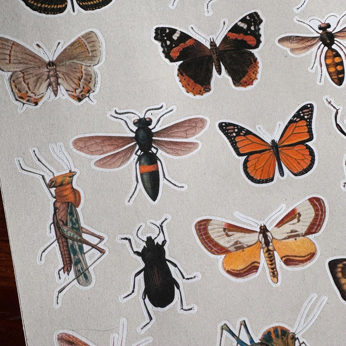 Insect Sticker Sheet – 17 Vintage Bug Stickers | Butterfly, Beetle & Moth | Matte Kiss Cut