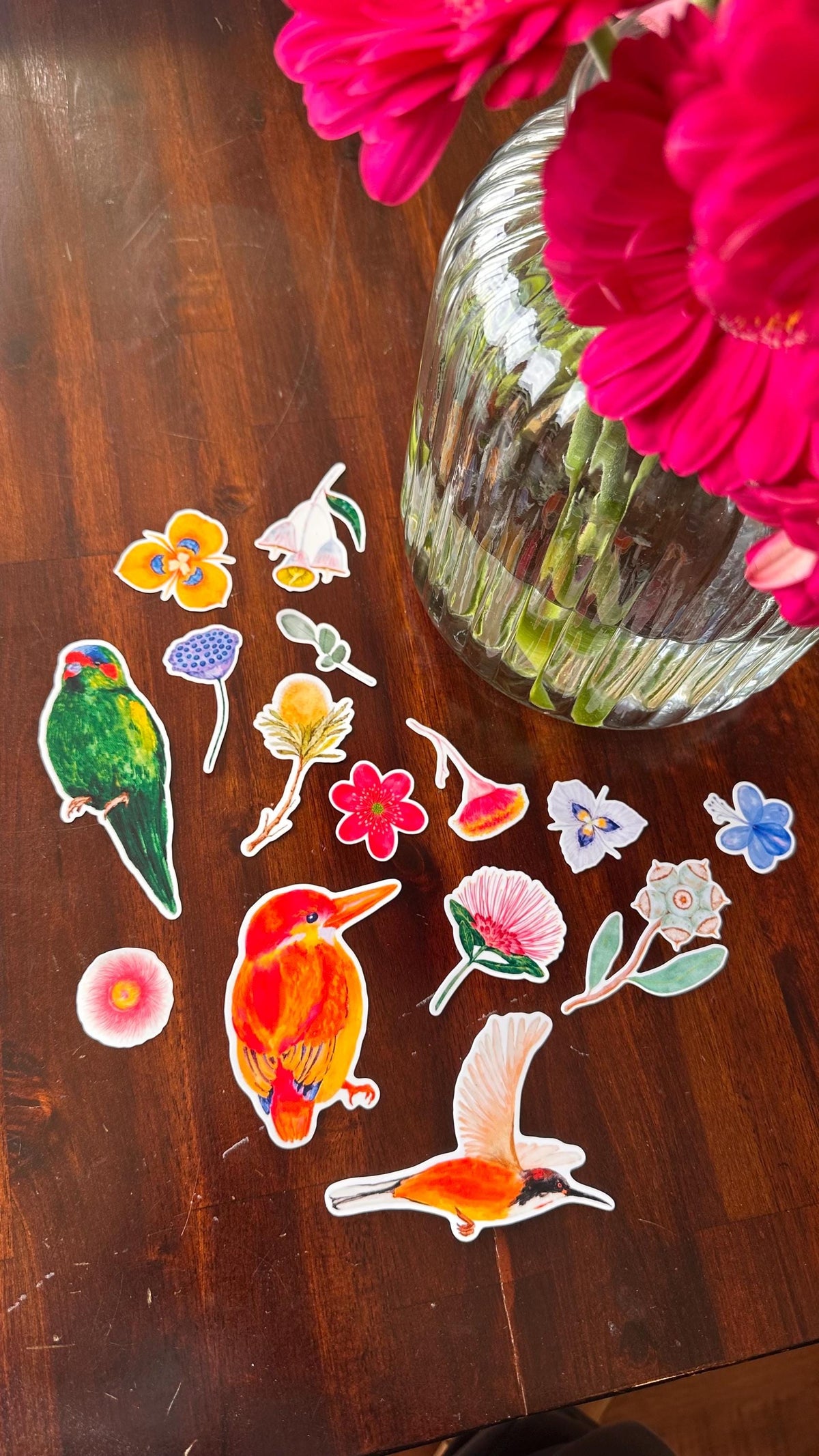 Australian Native Bird and Flower Die Cut Stickers – 15 Loose Vinyl Stickers | Wild Bloom