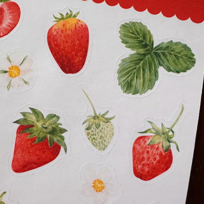Strawberry Sticker Sheet – 17 Watercolour Fruit Stickers | Glossy Kiss Cut | Kitchen Garden